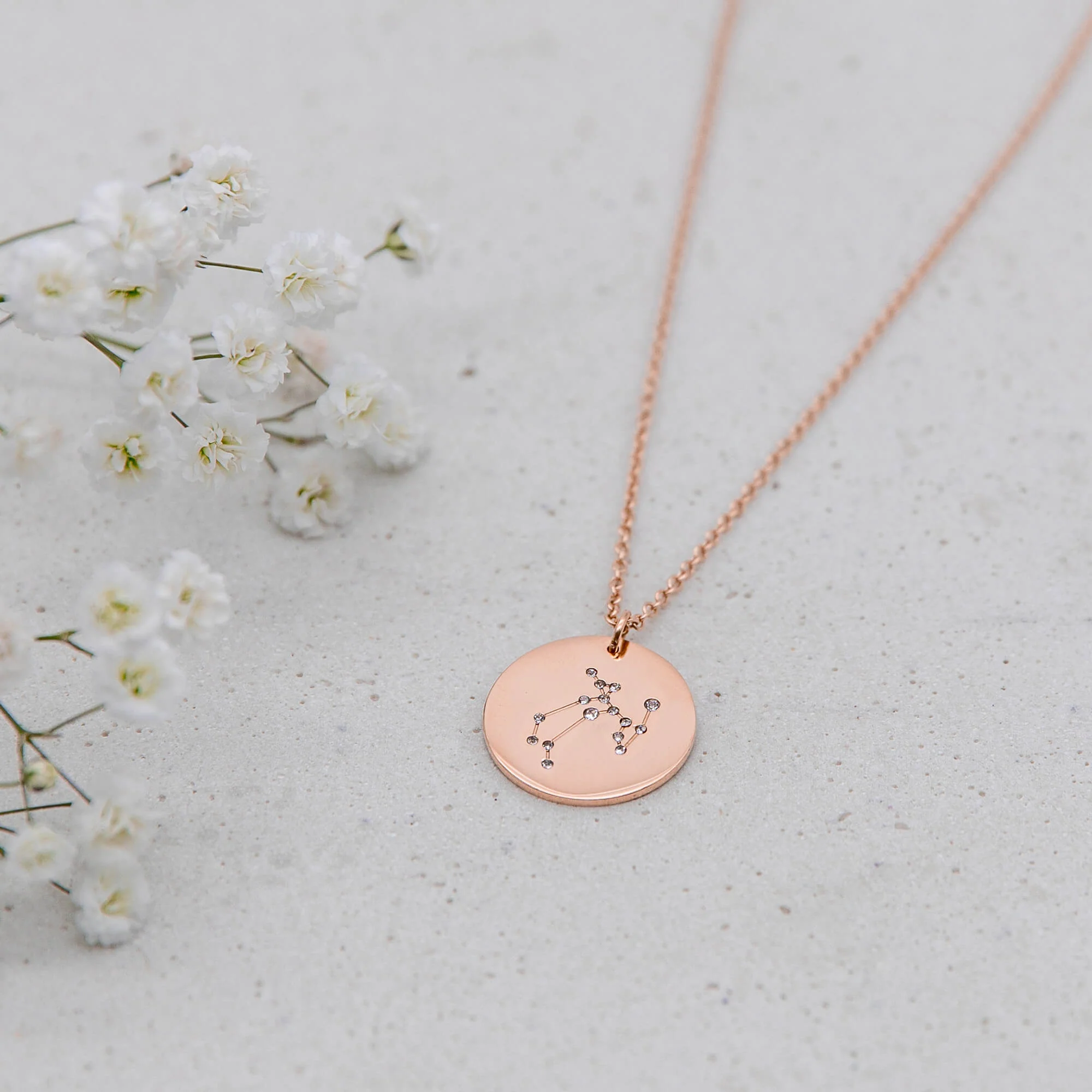 Zodiac Sign Necklace - Image 10