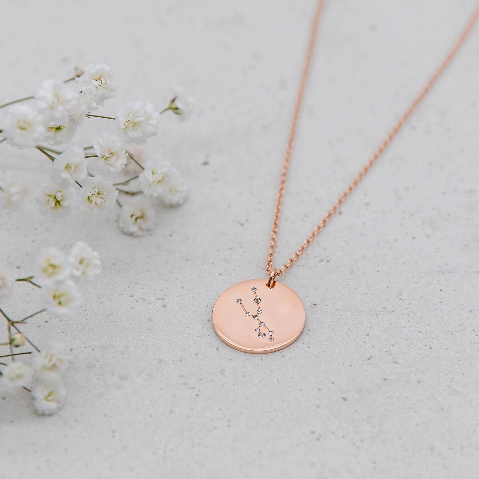 Zodiac Sign Necklace - Image 12